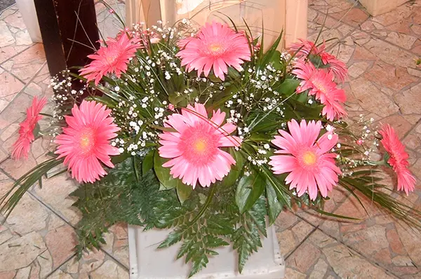 Ikebana 3