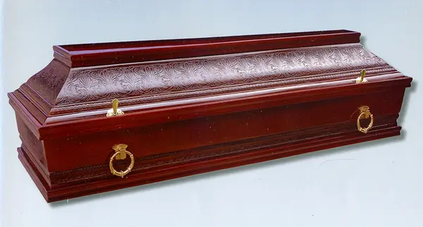Polukovčeg SS
